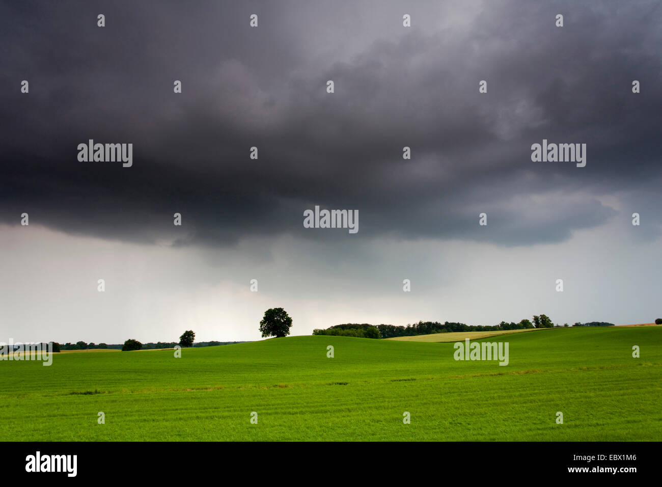 Black clouds over field paysage, Allemagne, Saxe, Vogtlaendische Schweiz Banque D'Images