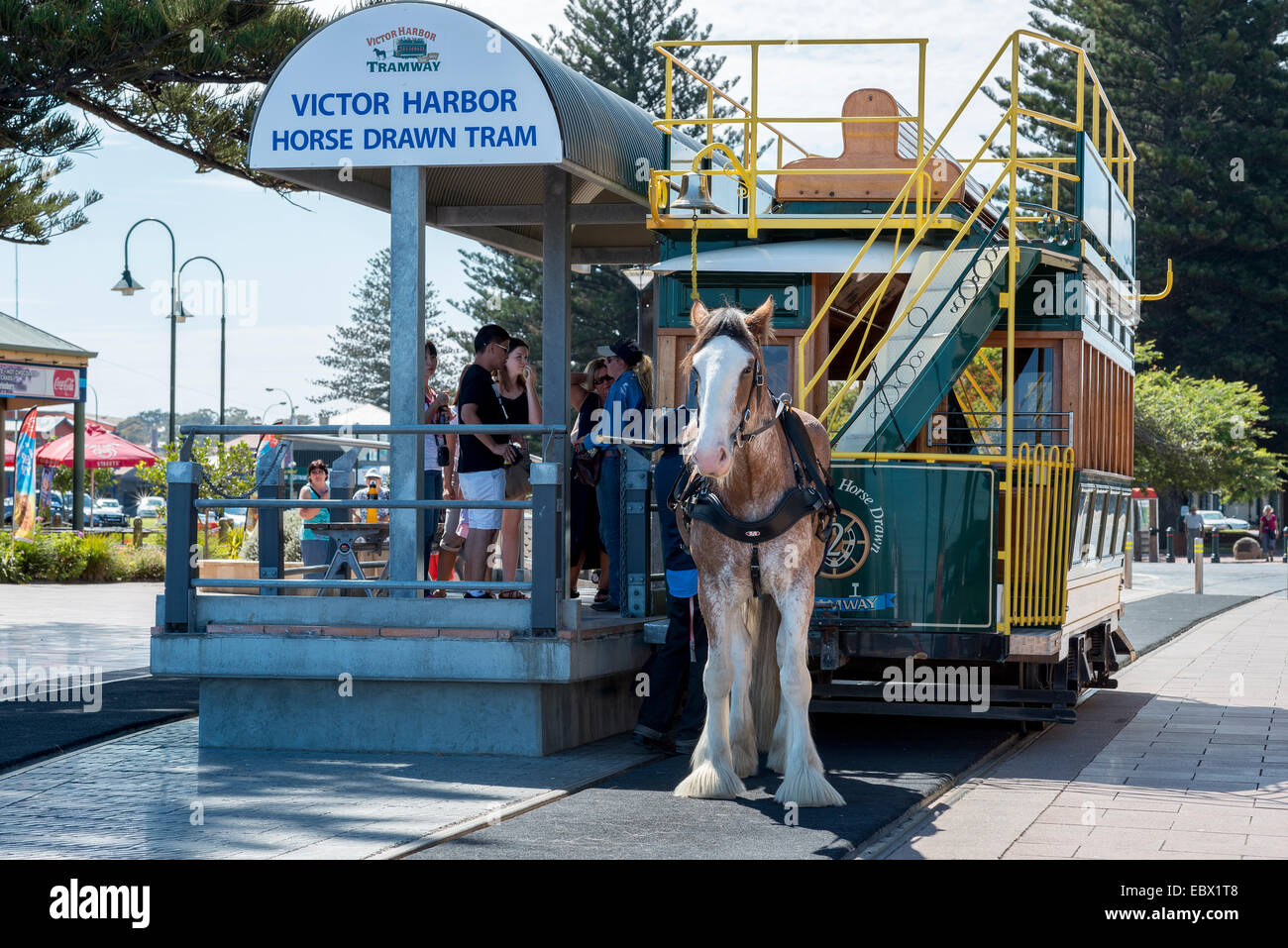 Victor Harbour Australie du Sud de tramway tiré par des chevaux Banque D'Images