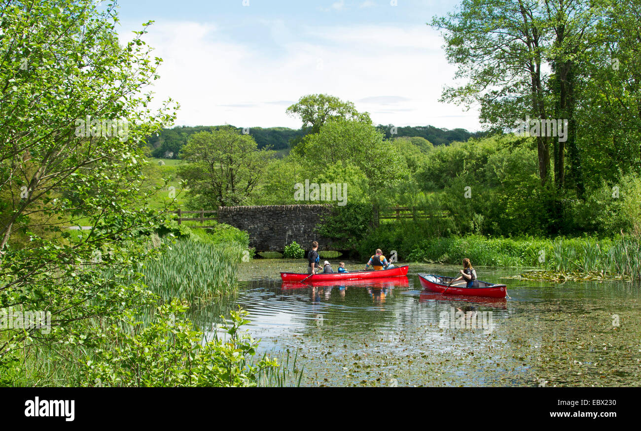 Personnes dans deux canots rouge vif sur la pagaie lac entouré de végétation émeraude et grands arbres, jardin botanique national, le Pays de Galles Banque D'Images