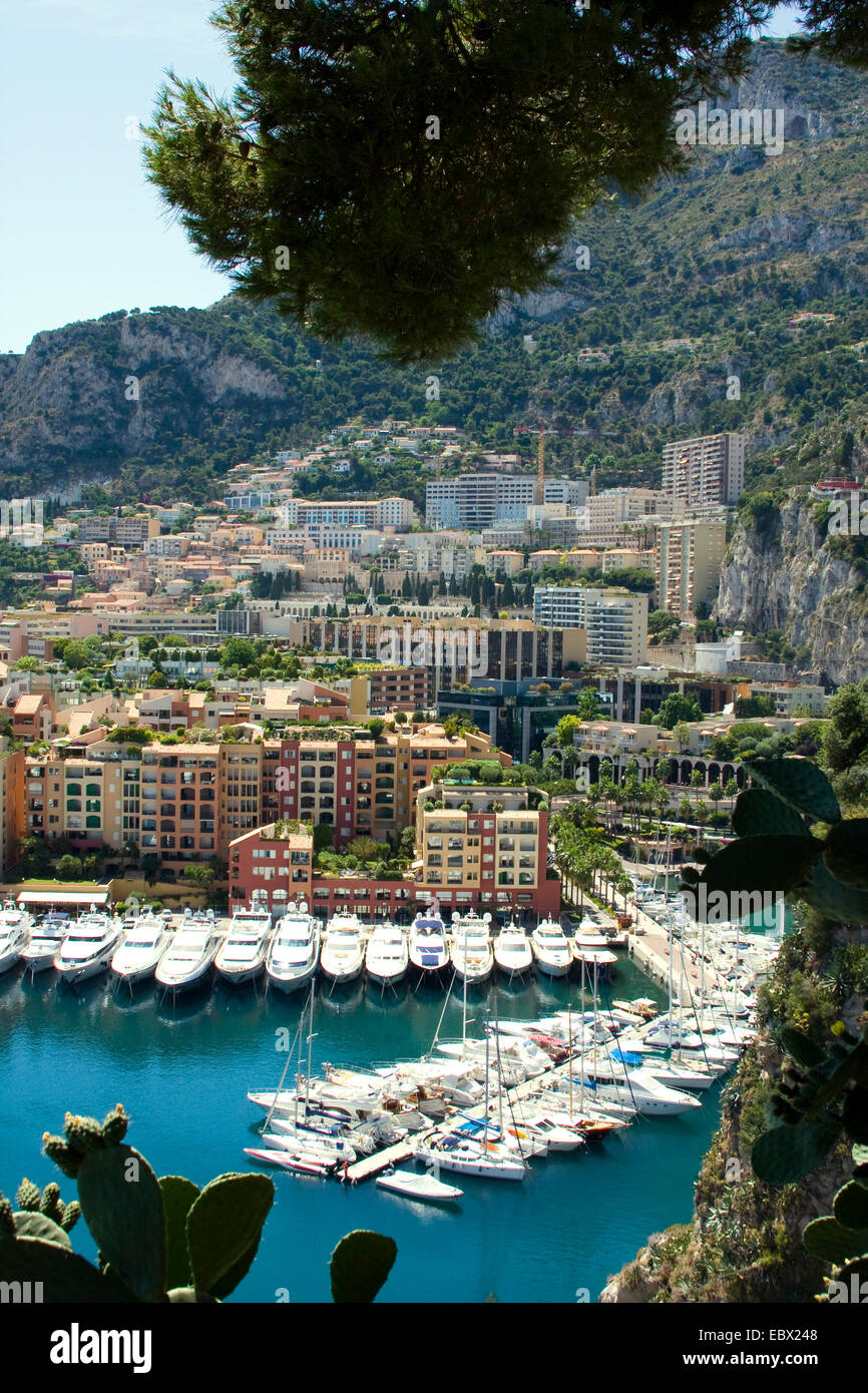 Voir à Monaco avec l'Opuntia dans l'avant-plan, France, Monaco Banque D'Images