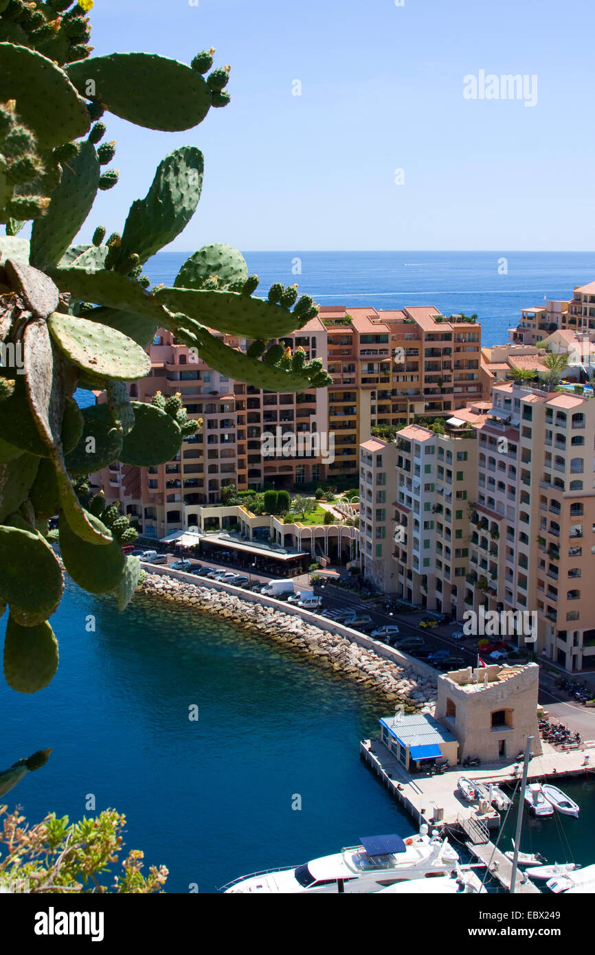 Voir à Monaco avec l'Opuntia dans l'avant-plan, France, Monaco Banque D'Images