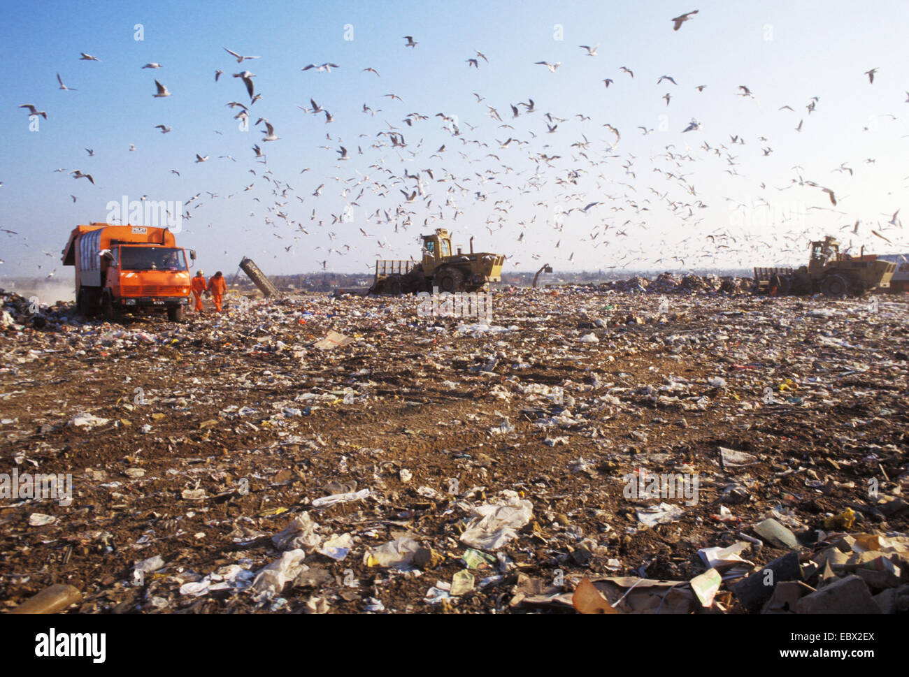 Les goélands, deux bulldozers et un camion à ordures sur une décharge, l'Autriche, Vienne Banque D'Images