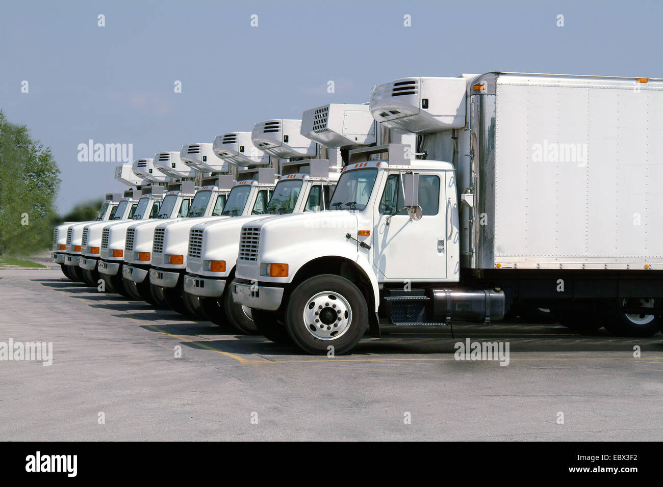 Huit camions idenentical in côte à côte Banque D'Images