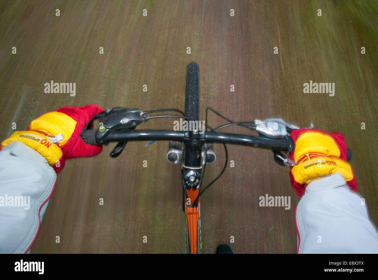 Vue d'un cycliste le vélo dans le chemin d'en face de lui, Royaume-Uni, Ecosse, le Parc National de Cairngorms Banque D'Images