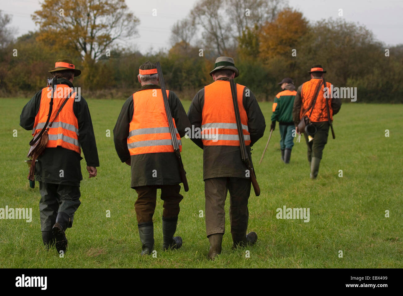 Certains chasseurs marche à travers un pré avant qu'une battue, Allemagne Banque D'Images