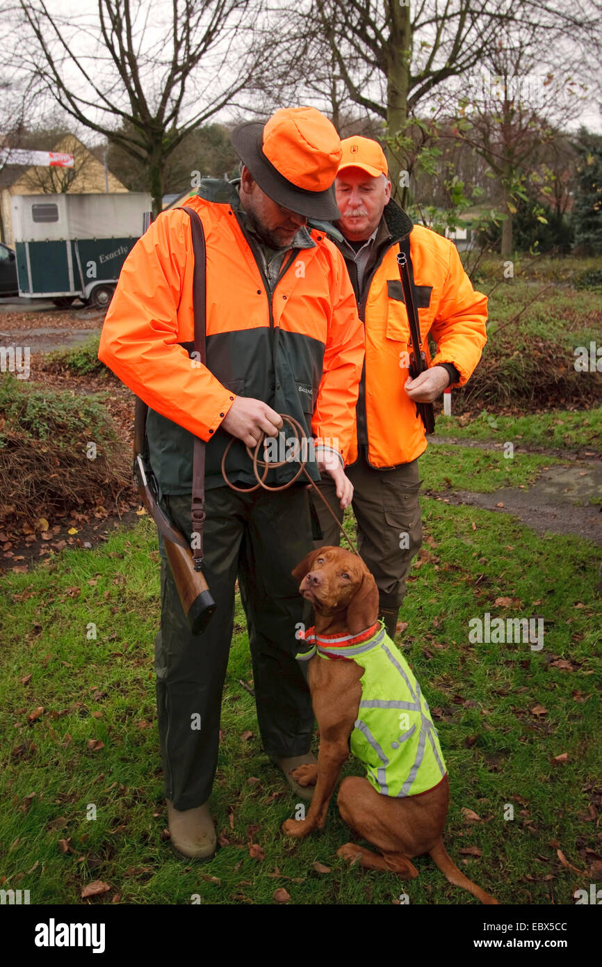 Le hongrois à poil court (Chien Canis lupus f. familiaris), deux tireurs d'une battue avec chien de chasse, Allemagne Banque D'Images