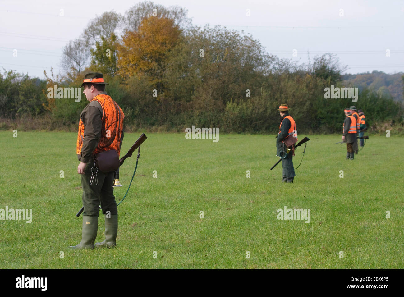 Certains chasseurs dans un pré d'affilée au cours d'une battue, Allemagne Banque D'Images