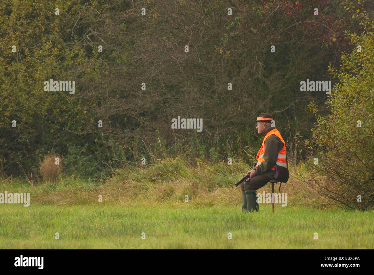 Séance de tir et d'attente sur un tabouret dans un pré au cours d'une battue en octobre, Allemagne Banque D'Images