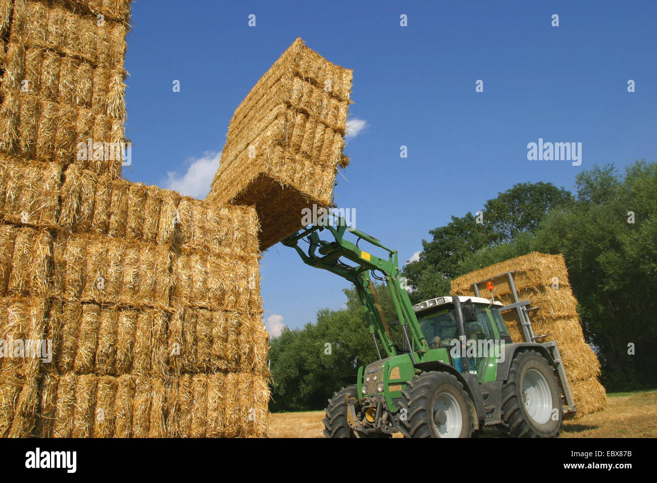 Tracteur avec des bottes de paille Photo Stock - Alamy