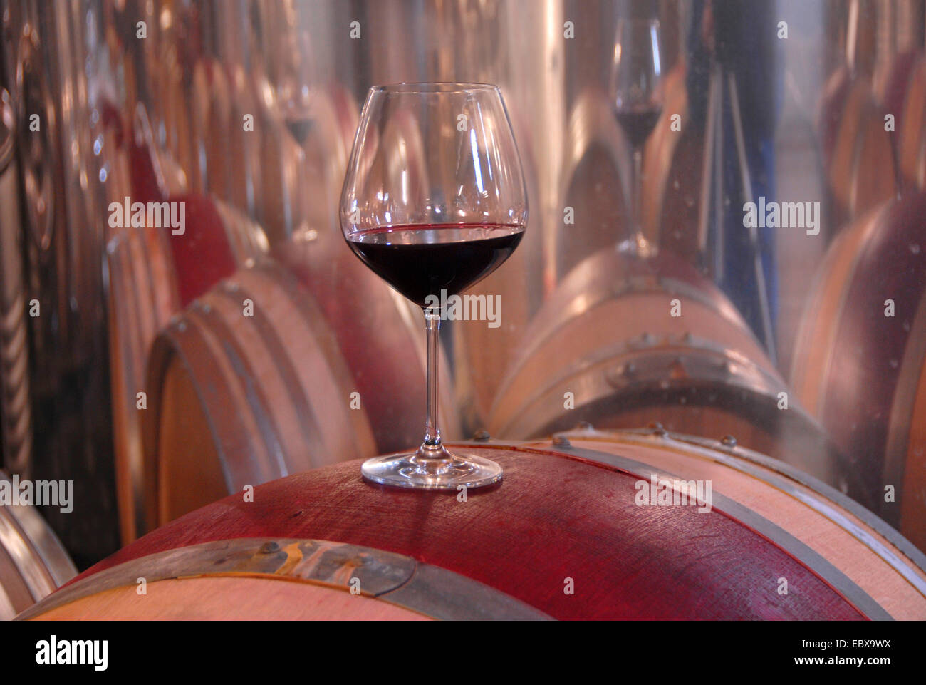 Cave d'une winery, fût de chêne avec verre de vin rouge, l'Allemagne, Rhénanie-Palatinat, Palatinat, Laumersheim Banque D'Images