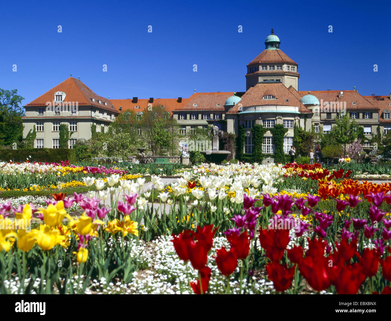 Jardin botanique de Munich, Allemagne, Bavaria, Munich Banque D'Images