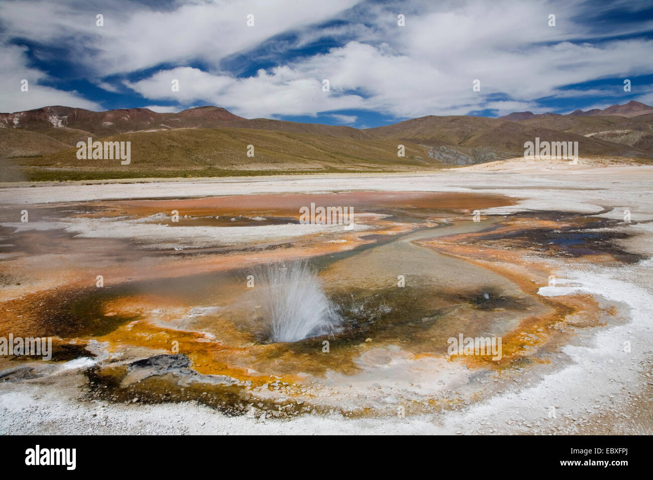 Hot spring Banos de Puchuldiza dans le Parc National du Volcan Isluga, Chili Banque D'Images