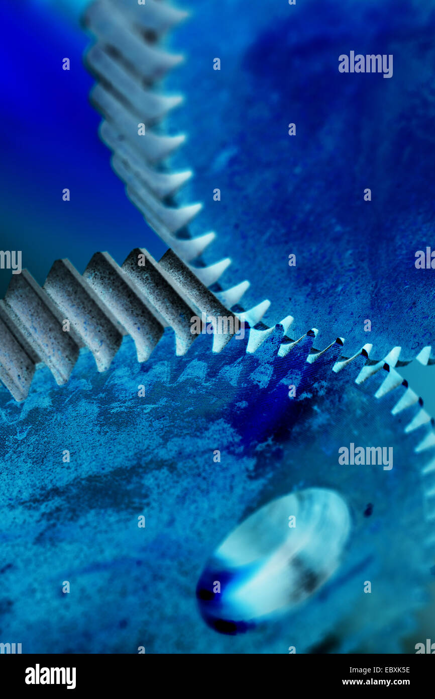 roue dentée Banque D'Images