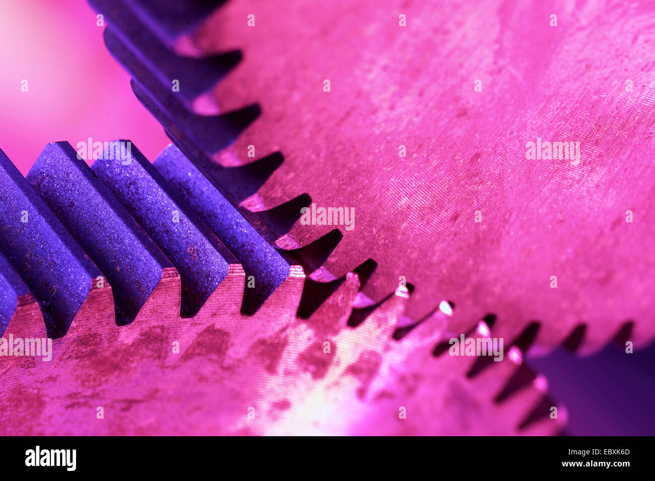 roue dentée Banque D'Images