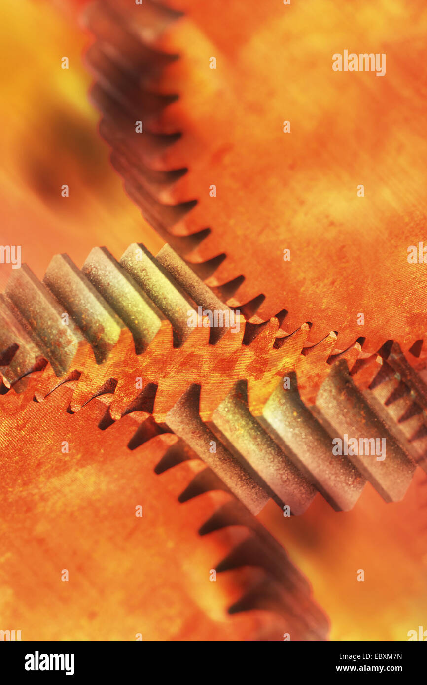 roue dentée Banque D'Images