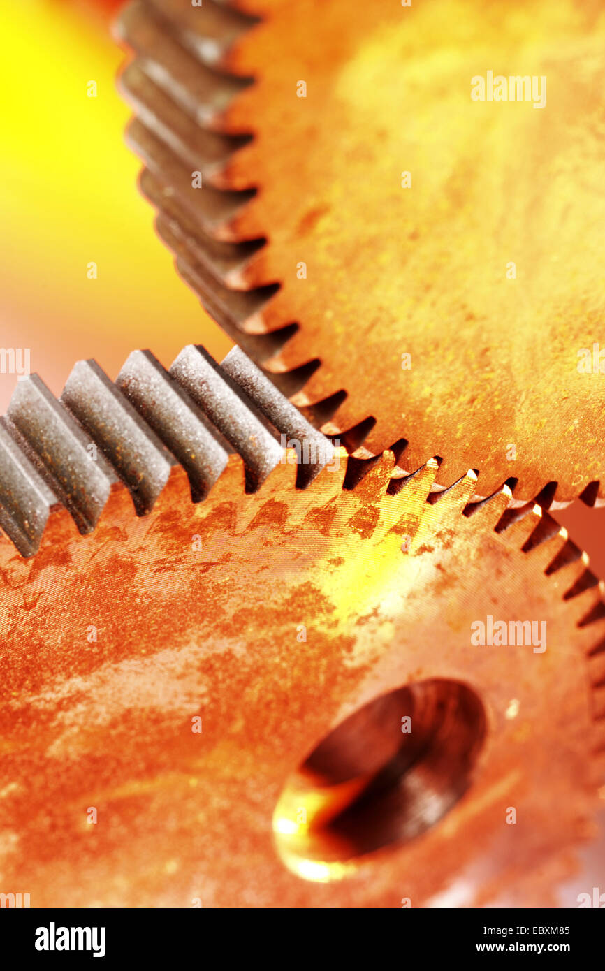 roue dentée Banque D'Images