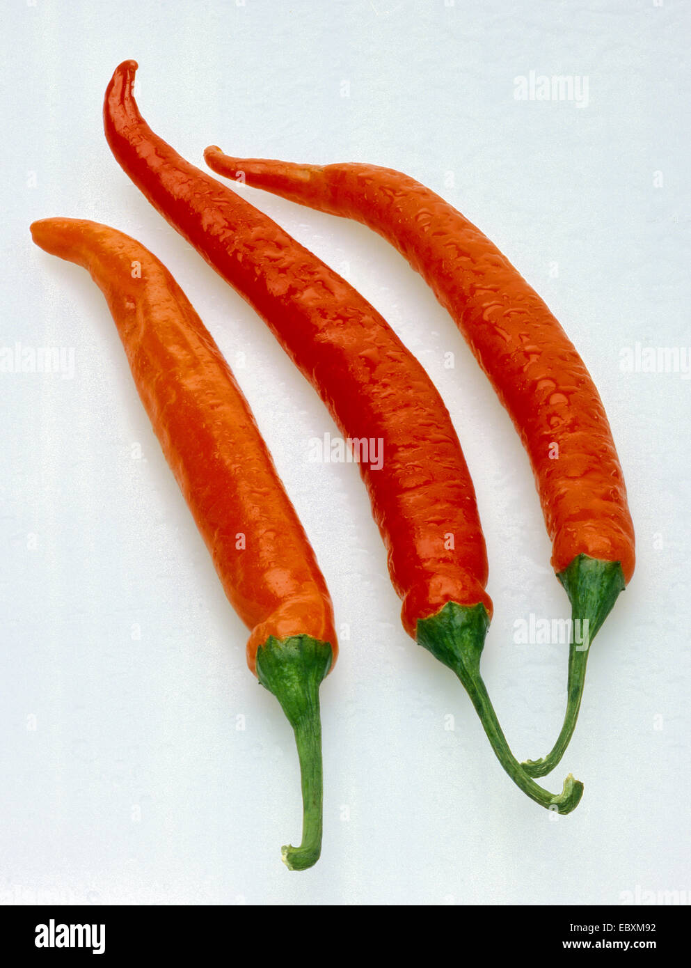 piment rouge Banque D'Images