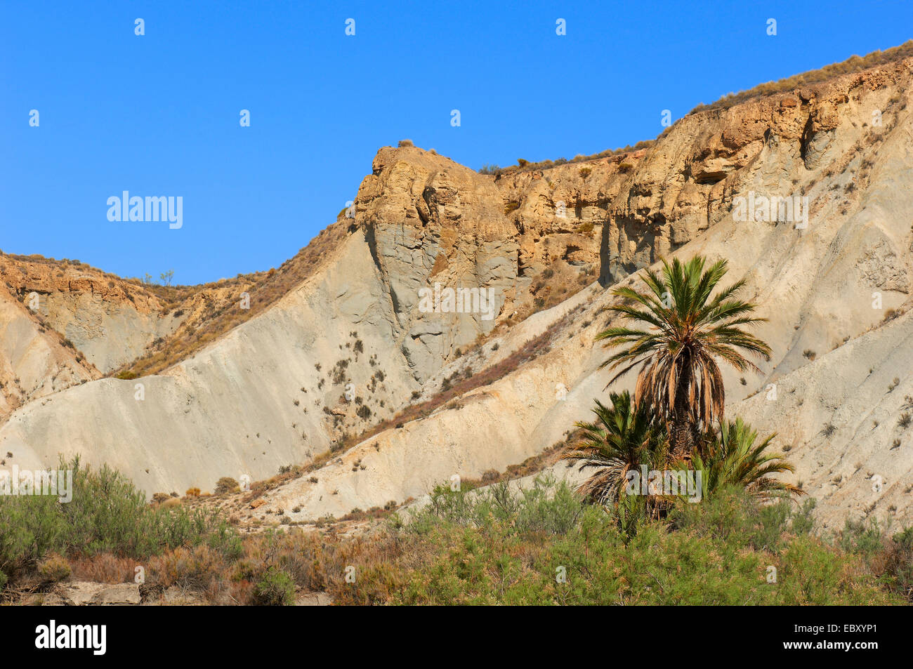 Parc Naturel du désert de Tabernas, Tabernas, la Province d'Almeria, Andalousie, Espagne, Europe Banque D'Images