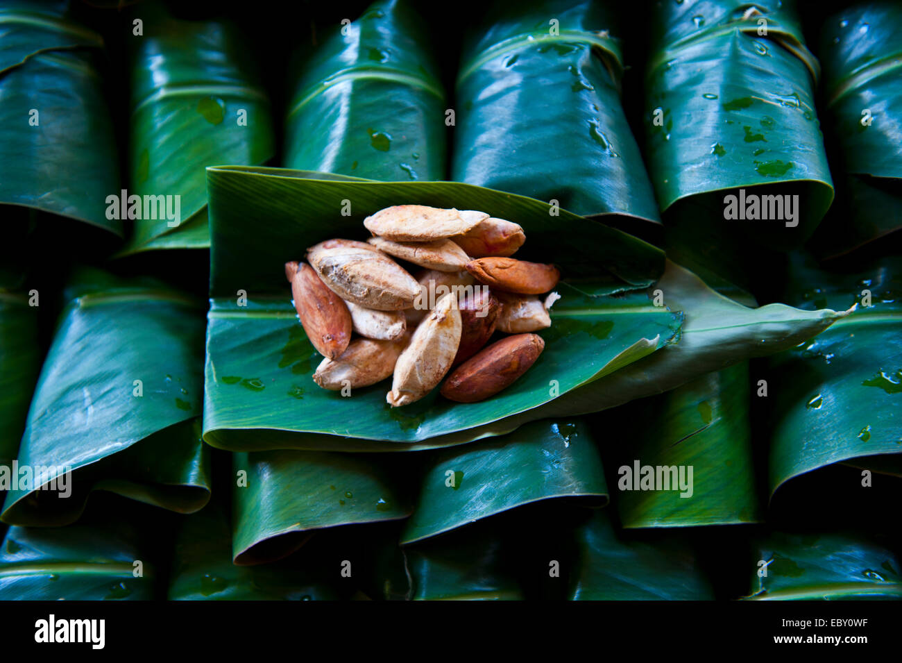 Les noix du Brésil (Bertholletia excelsa) pour la vente, Honiara, Îles Salomon Banque D'Images