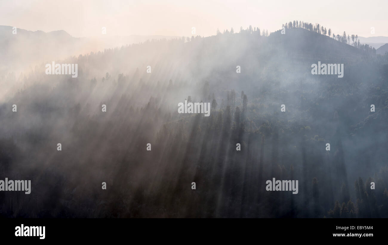 La fumée de l'incendie de Dog Rock dans la région de Yosemite National Park, California, USA. L'automne (octobre) 2014. Banque D'Images