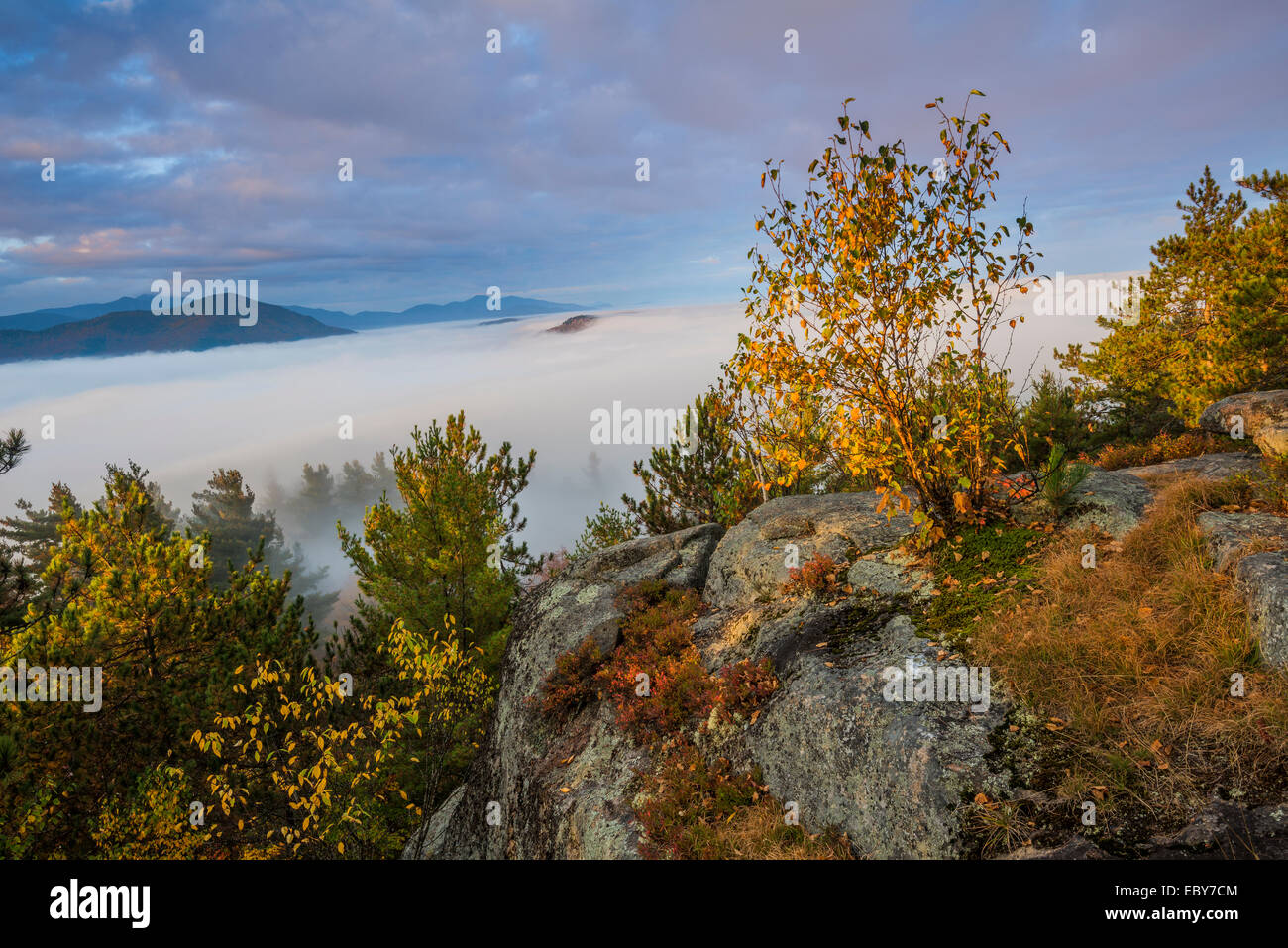 Matin brouillard remplit la vallée ci-dessous Silver Lake Mountain, Adirondack High Peaks, Clinton Co., NY Banque D'Images