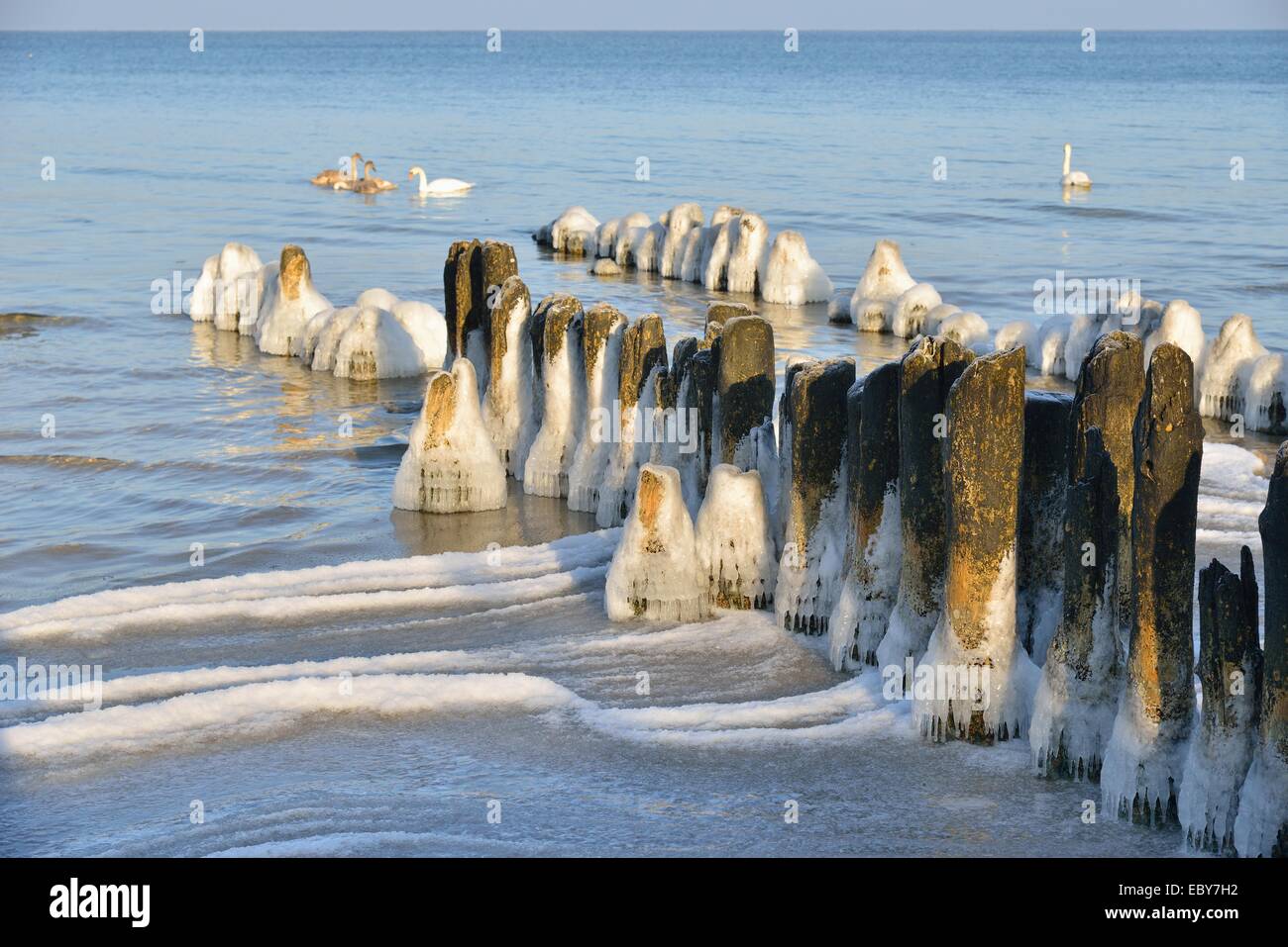 Plage de la mer Baltique d'hiver, couvert de glace Banque D'Images