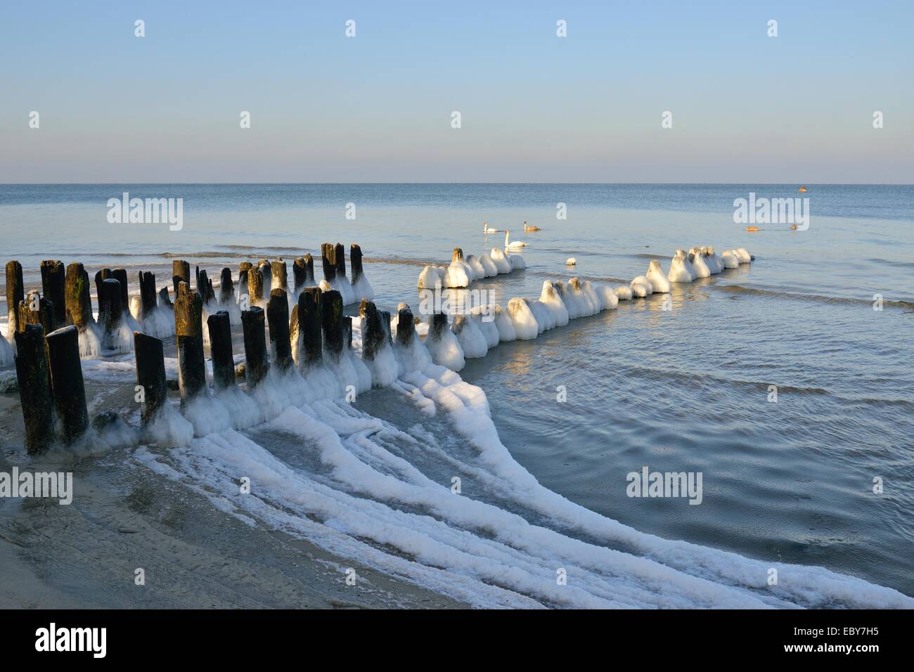 Plage de la mer Baltique d'hiver, couvert de glace Banque D'Images