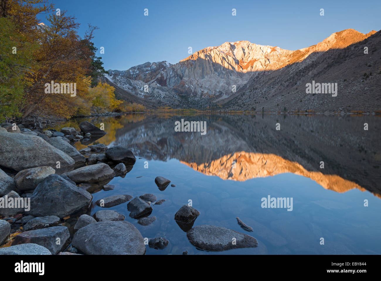 Couleurs d'automne autour de Convict Lake dans l'Est de la Sierra Montagnes, Californie, USA. L'automne (octobre) 2013. Banque D'Images