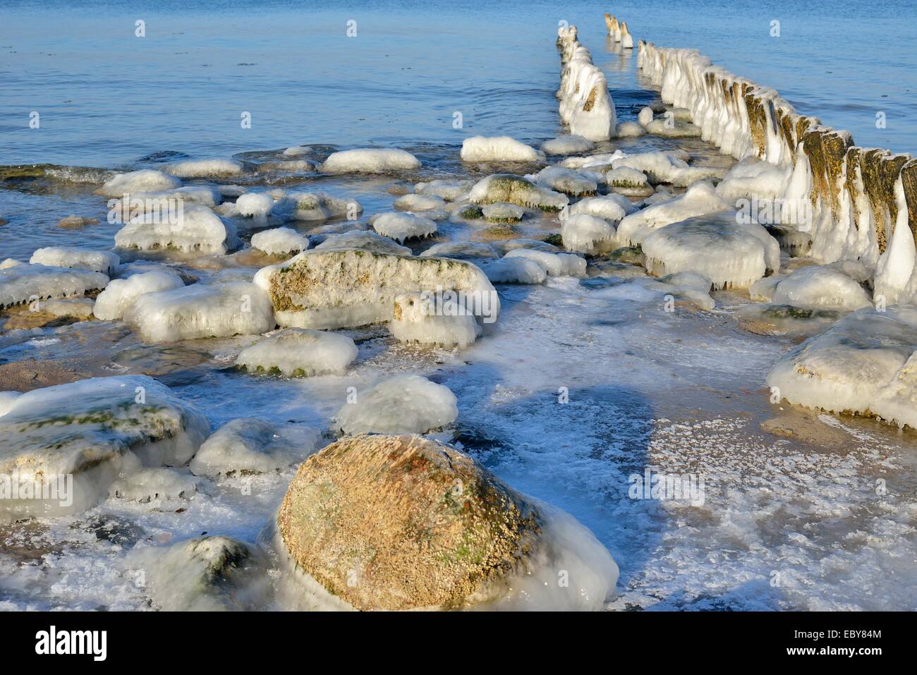 Plage de la mer Baltique d'hiver, couvert de glace Banque D'Images