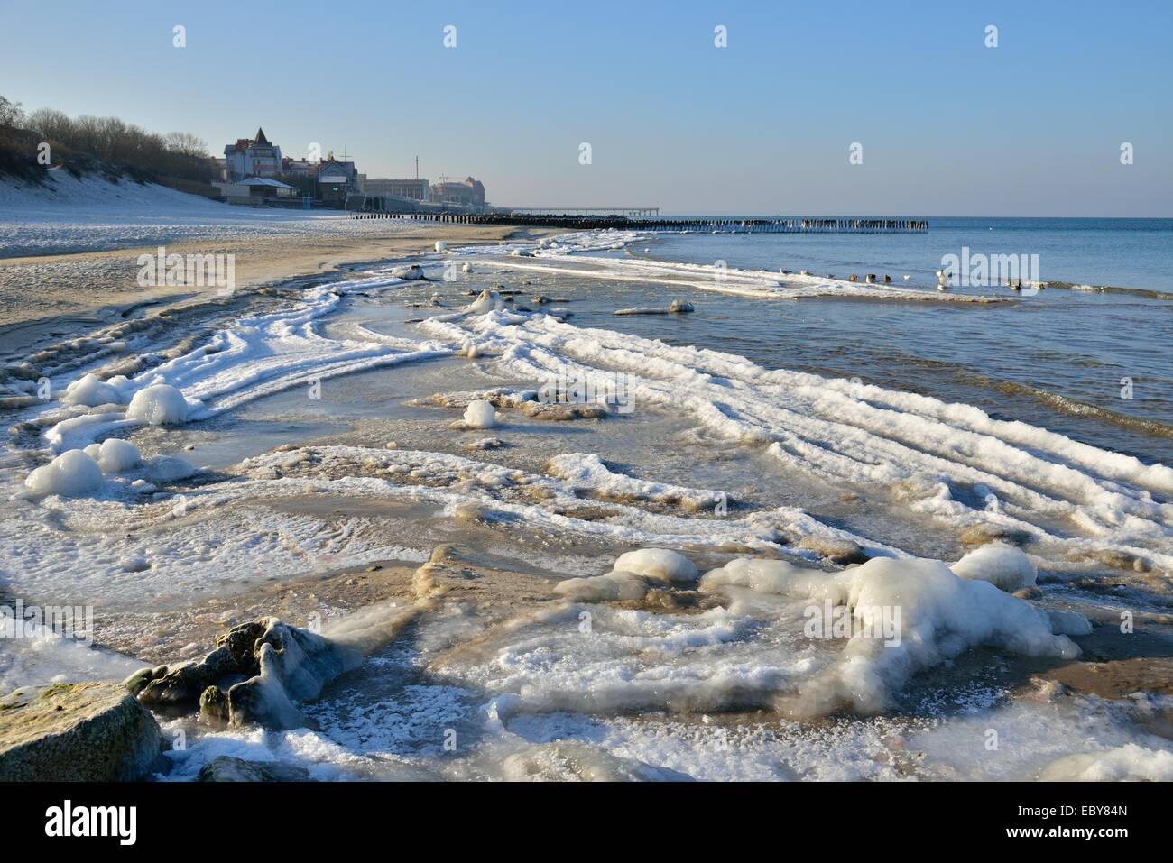 Plage de la mer Baltique d'hiver, couvert de glace Banque D'Images