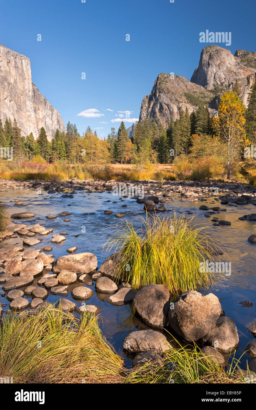 Dans la rivière Merced Yosemite Valley, Californie, USA. L'automne (octobre) 2013. Banque D'Images