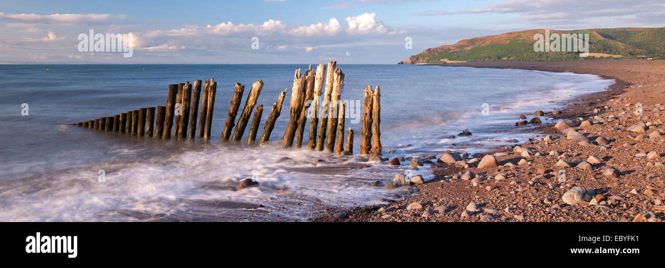 Les défenses maritimes en bois à Porlock Bay dans le Parc National d'Exmoor, Somerset, Angleterre. L'été (juillet) 2014. Banque D'Images