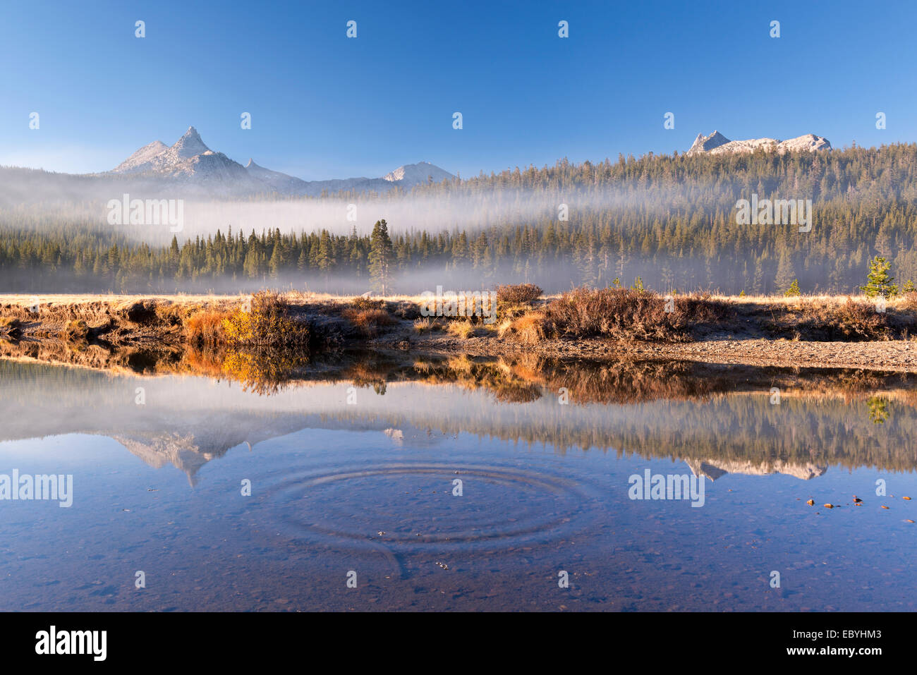 La Cathédrale et l'Unicorn Peaks reflète dans la rivière Tuolumne Meadows, Tuolumne, Yosemite, California, USA. L'automne (octobre) 2014. Banque D'Images