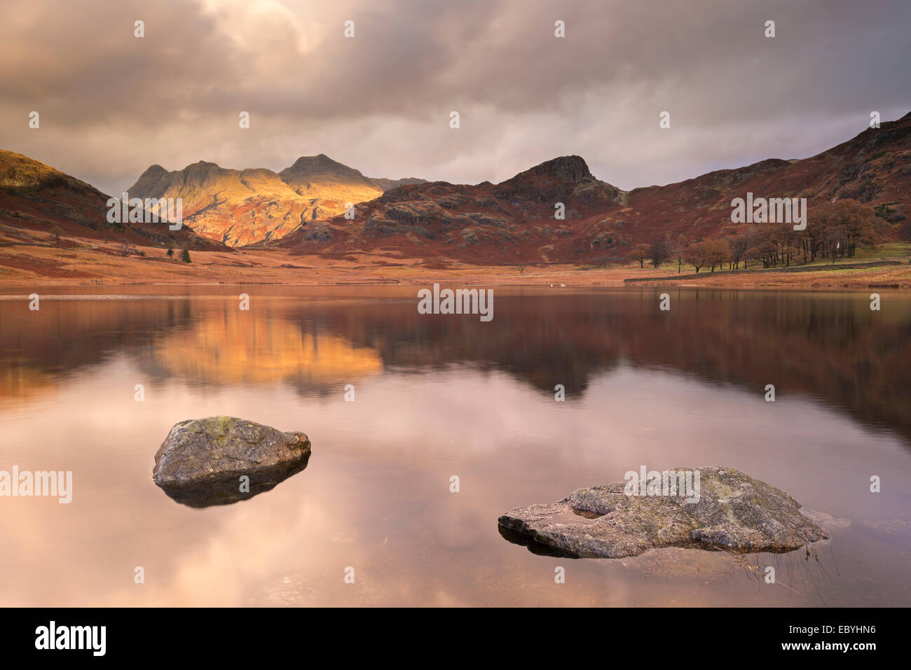 Tôt le matin soleil sur les Langdale Pikes, reflétée dans Blea Tarn, Lake District, Cumbria, Angleterre. L'automne (novembre) 2014. Banque D'Images