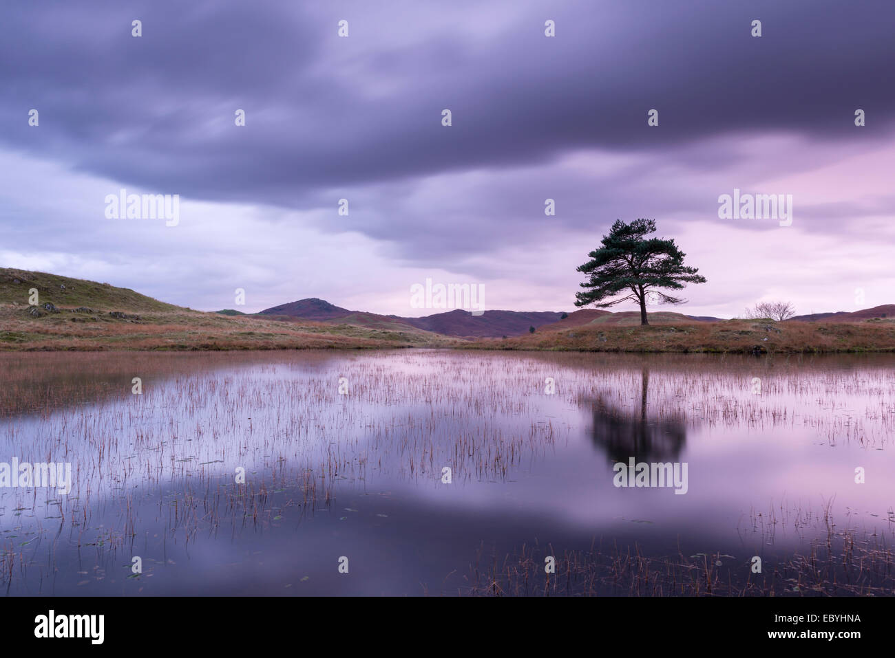 Kelly Hall Tarn au crépuscule, Lake District, Cumbria, Angleterre. L'automne (novembre) 2014. Banque D'Images