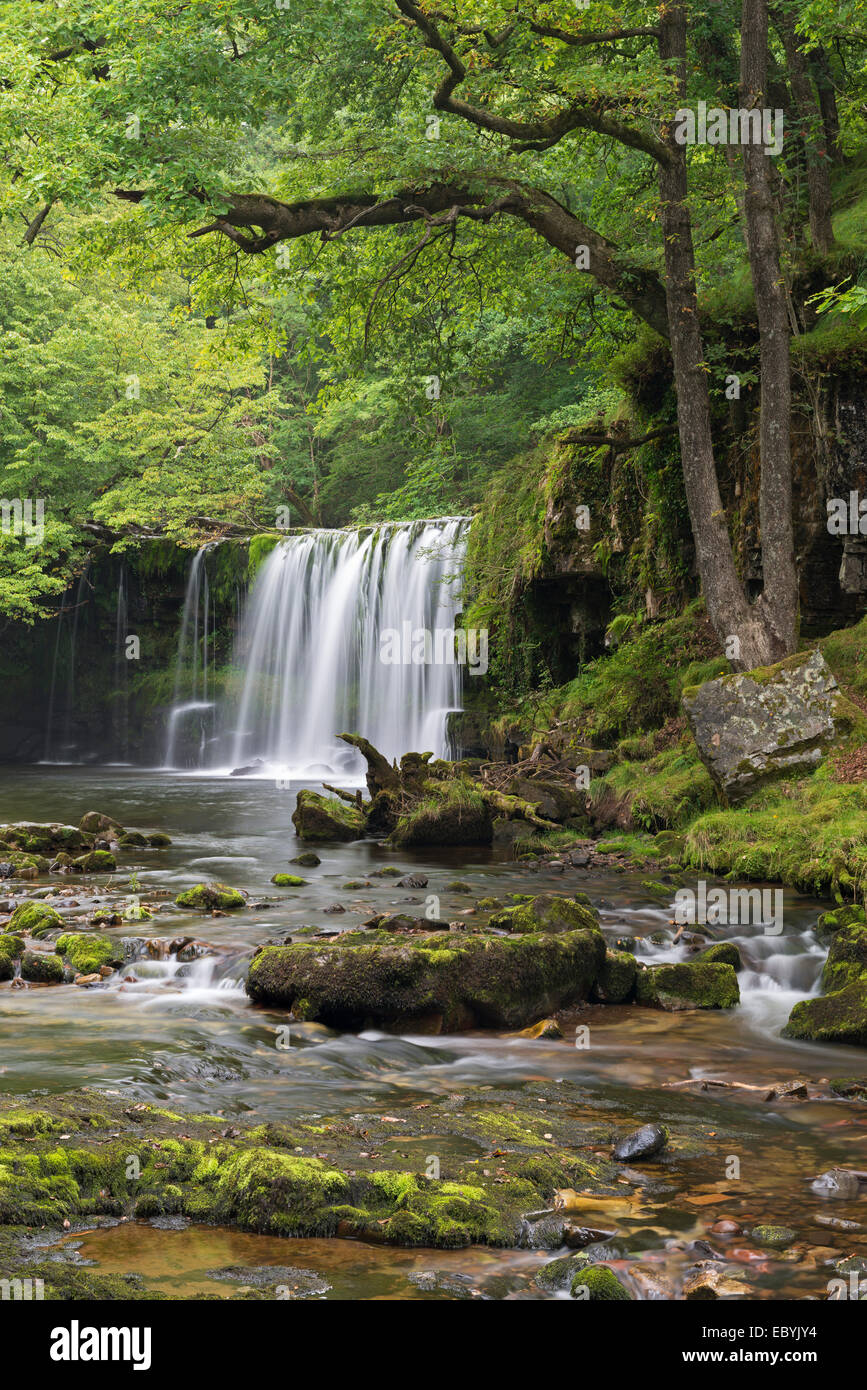Ddwli Scwd Nedd Fechan cascade sur la rivière près de Brecon Beacons, Ystradfellte, au Pays de Galles. Banque D'Images