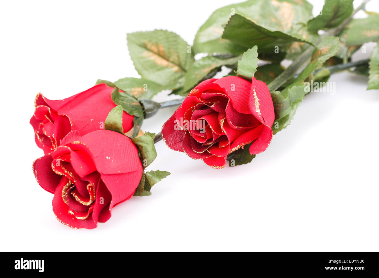 Roses rouge isolé sur fond blanc. Banque D'Images