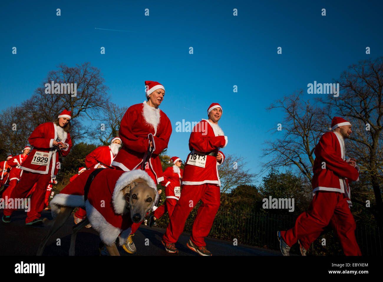 London:Des centaines de Santas exécuter pour la charité à Battersea Park Banque D'Images