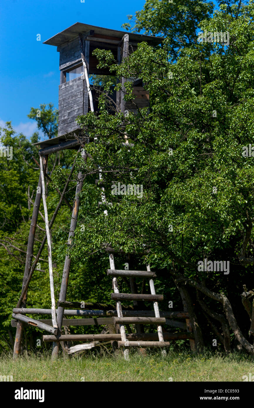 Stand de chasse en bois à la lisière des bois, tour en bois de la République tchèque à la lisière de la forêt Banque D'Images