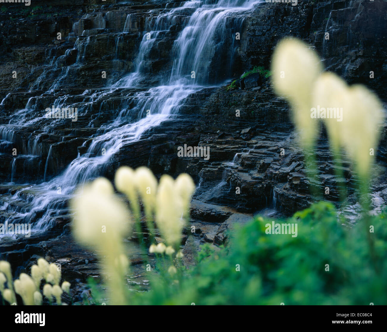 Les cadres du bureau une cascade. Le Glacier National Park, Montana Banque D'Images