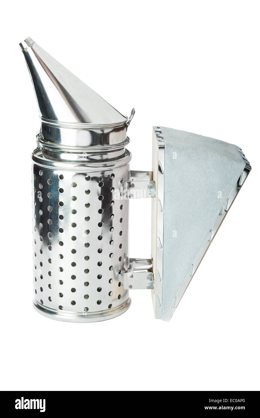 Bee fumeur isolé sur fond blanc Banque D'Images