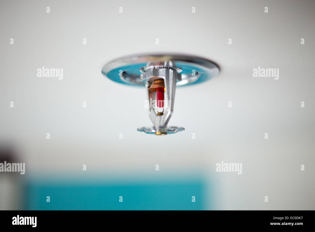 Détecteur de fumée et des gicleurs Banque D'Images