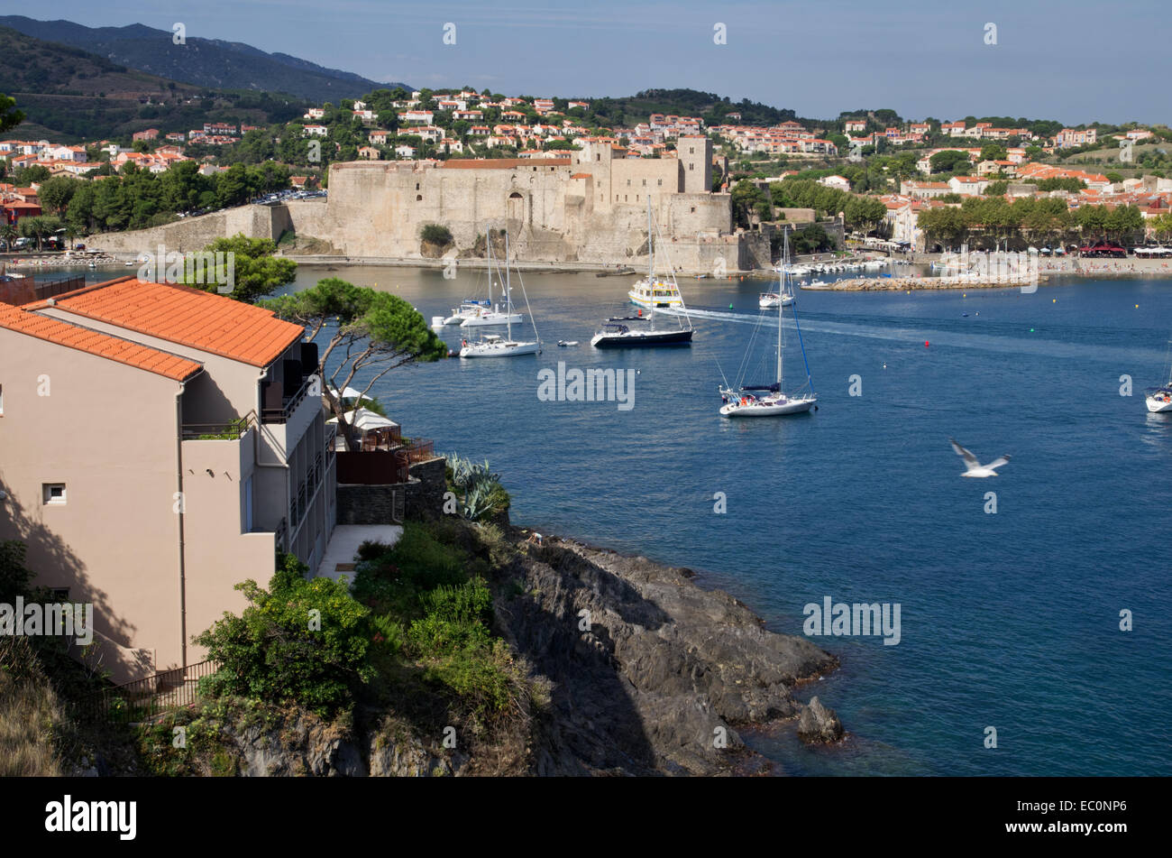 Le port de Collioure et le Château Banque D'Images