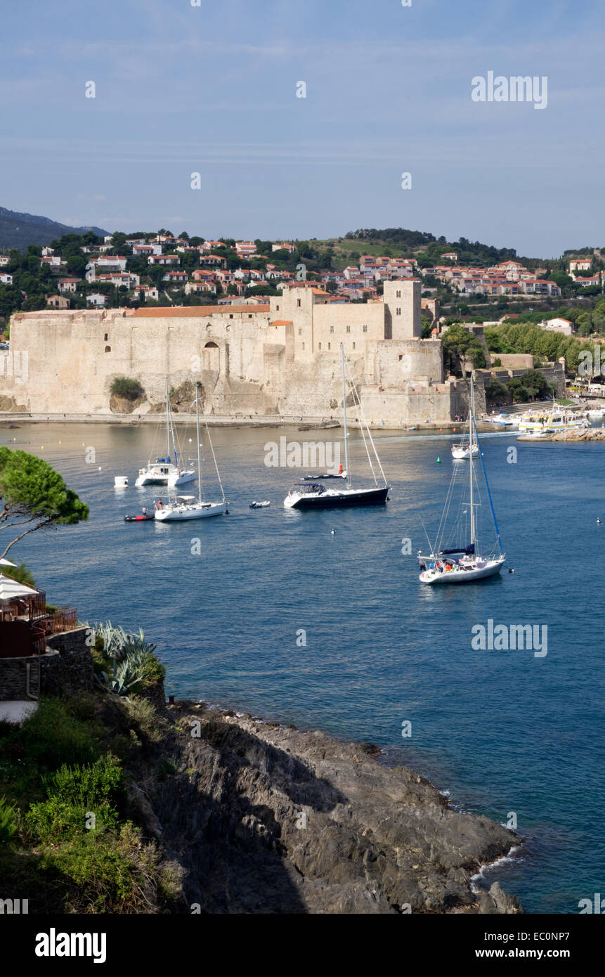 Le port de Collioure et le château Banque D'Images
