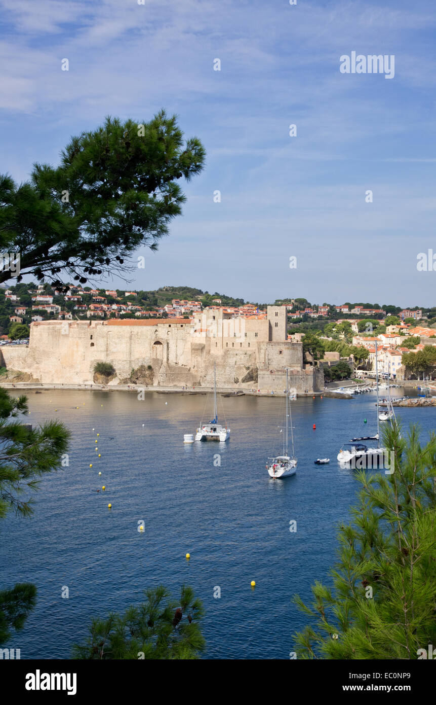 Le port de Collioure et le Château Banque D'Images