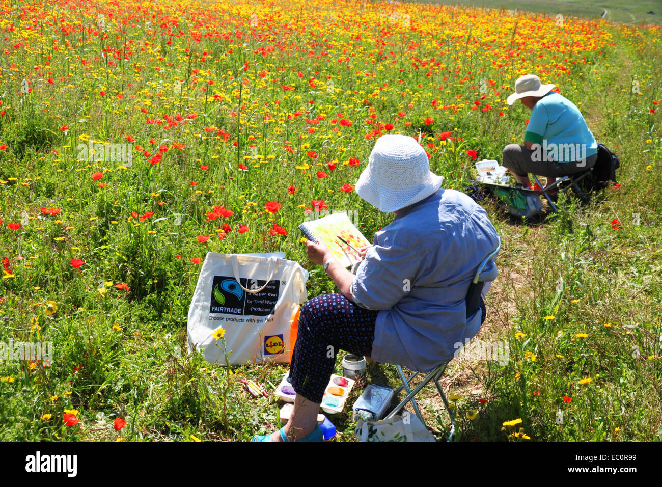 Deux artistes portant des chapeaux à larges bords peindre un champ de coquelicots rouges au soleil. Banque D'Images