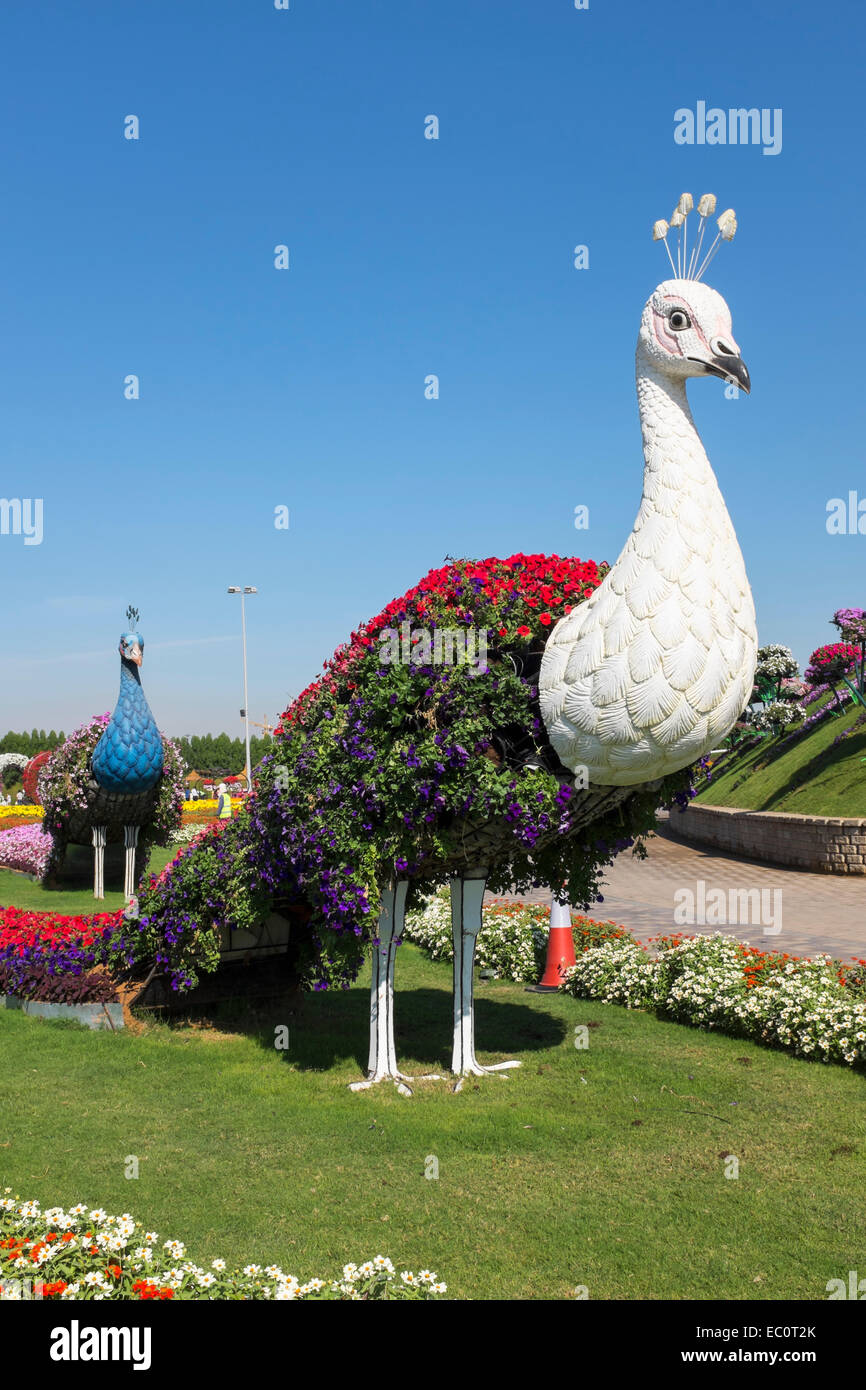 Modèles de paon couverte de fleurs au jardin Miracle le plus grand jardin fleuri à Dubaï Émirats Arabes Unis Banque D'Images