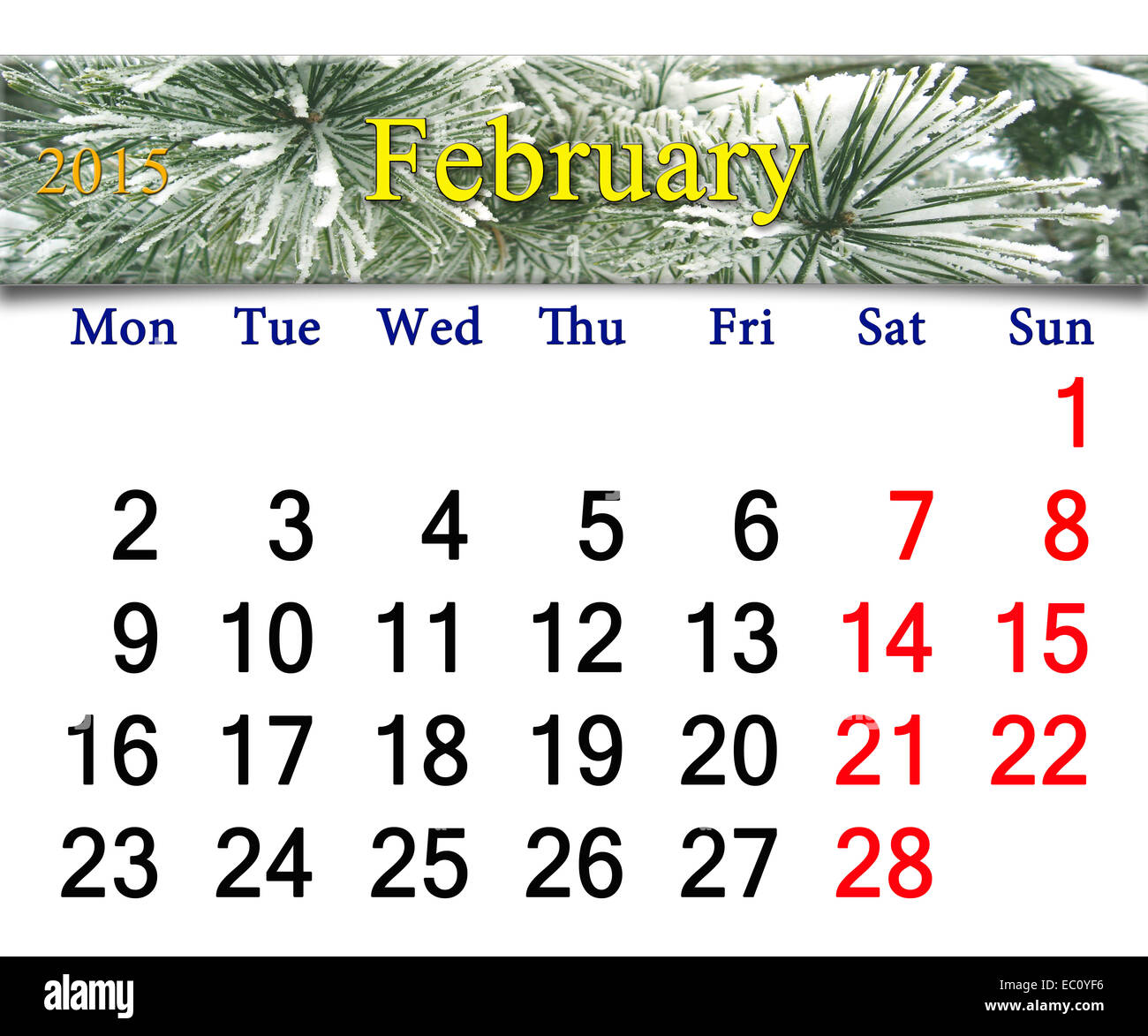 Calendrier pour le mois de février de 2015 avec des branches de pins enneigés Banque D'Images