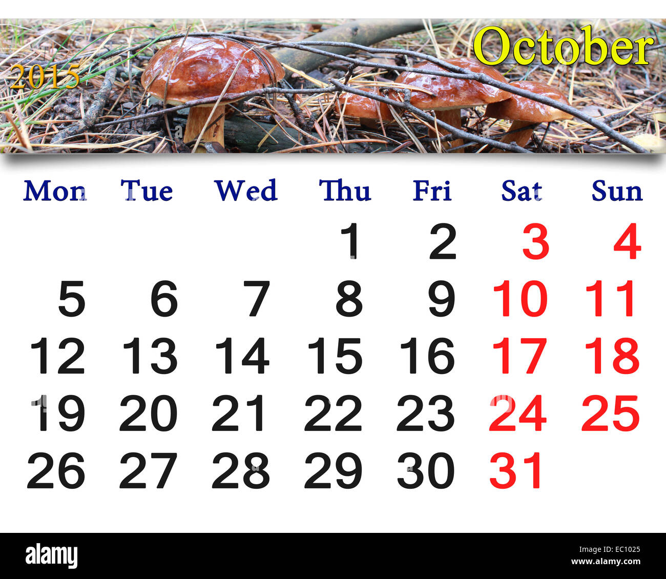 Calendrier pour Octobre de 2015 avec le ruban de champignons Boletus badius Banque D'Images