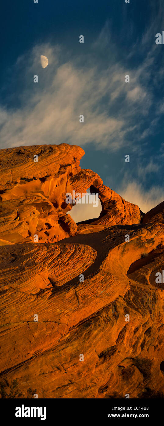 Une fine art grand format de fichier vue panoramique vertical de Arch Rock à la vallée de feu Sate Park près de Las Vegas Nevada Banque D'Images